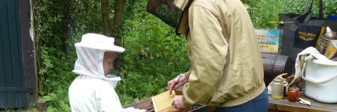 Bijen in Vlindertuin waalre, 07-06-2023 kop 3op1