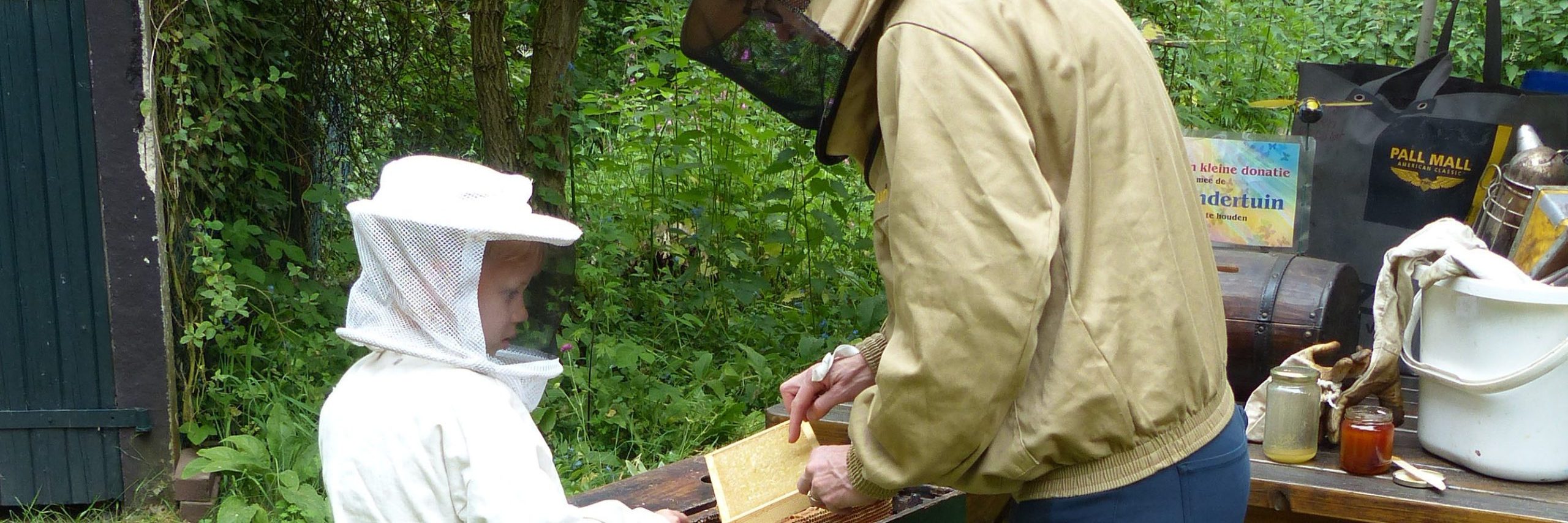 Bijen in Vlindertuin waalre, 07-06-2023 kop 3op1
