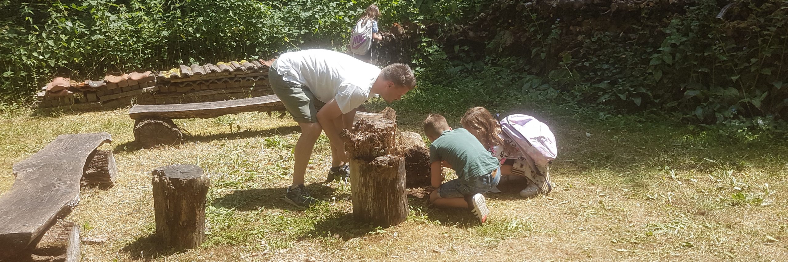 Vlindertuin bezoek Wilderen 230620 kop 3op1