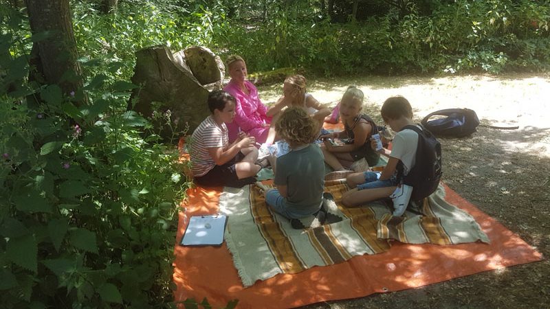 vlinderkwartetten 4op2