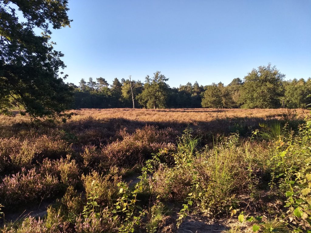 route meeris punt 10 Neerheide