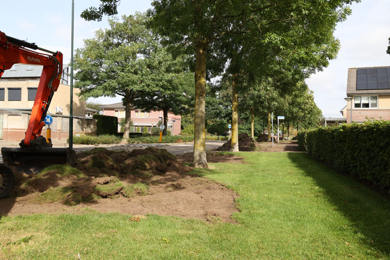aanleg bloemenberm gorlooplaan 800br