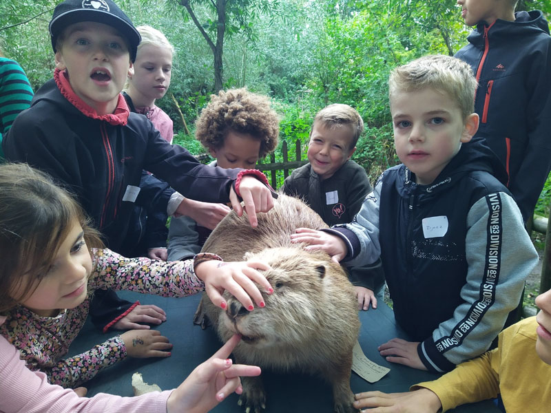 bevermiddag 231004 4op3