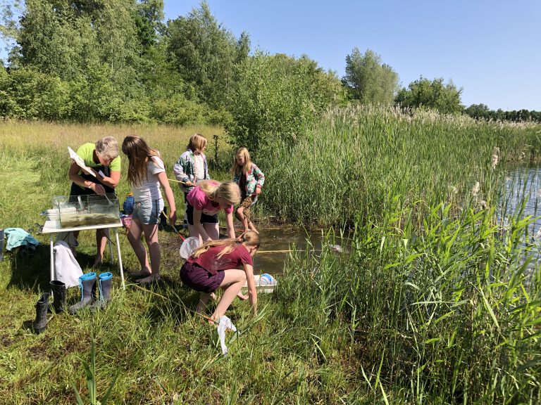 Kinderen onderzoeken water nabij een vijver, omringd door riet en gras, op een zonnige dag.