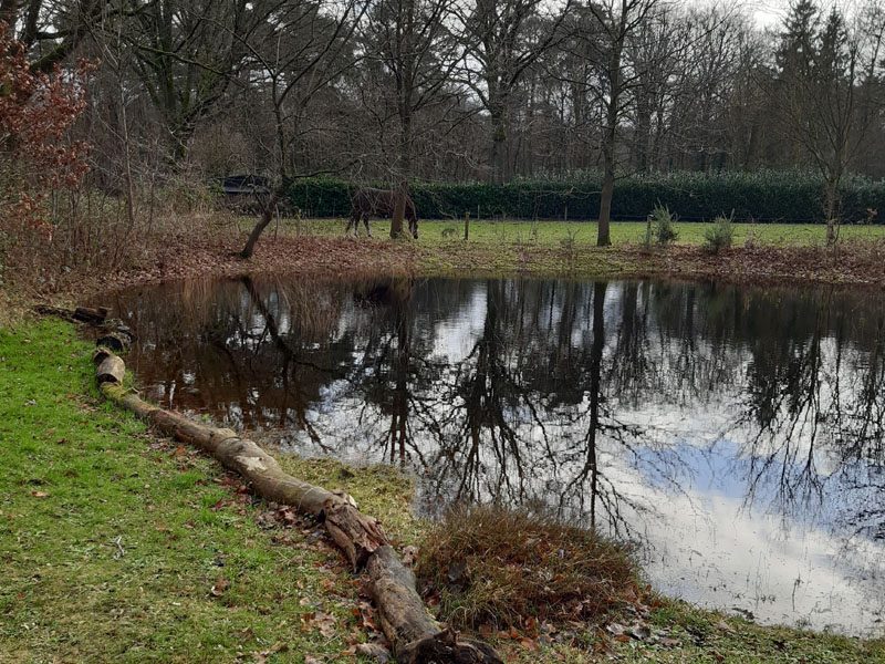 vlindertuin poel 231231