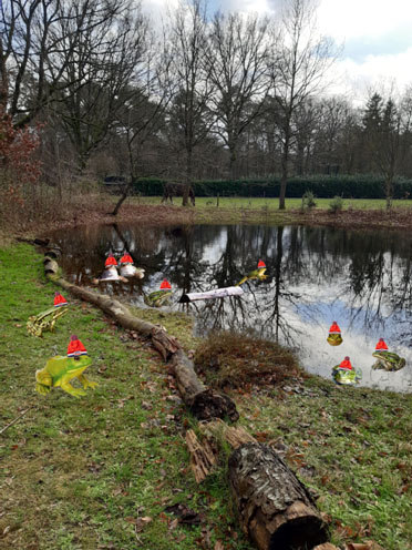 vlindertuin poel met kikkers 231231