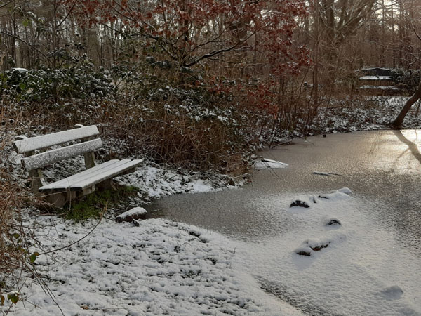 sneeuw vlindertuin waalre 24-01-2024, hoog water