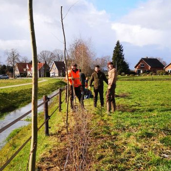 Een groep mensen plant bomen langs een sloot in een grasveld met huizen op de achtergrond.