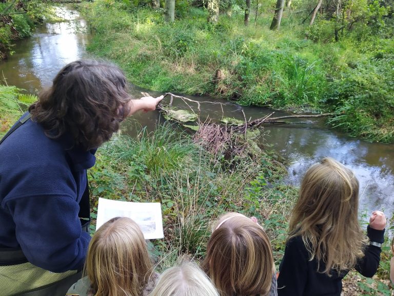 Persoon wijst naar een beek, omringd door groen, met kinderen die toekijken.