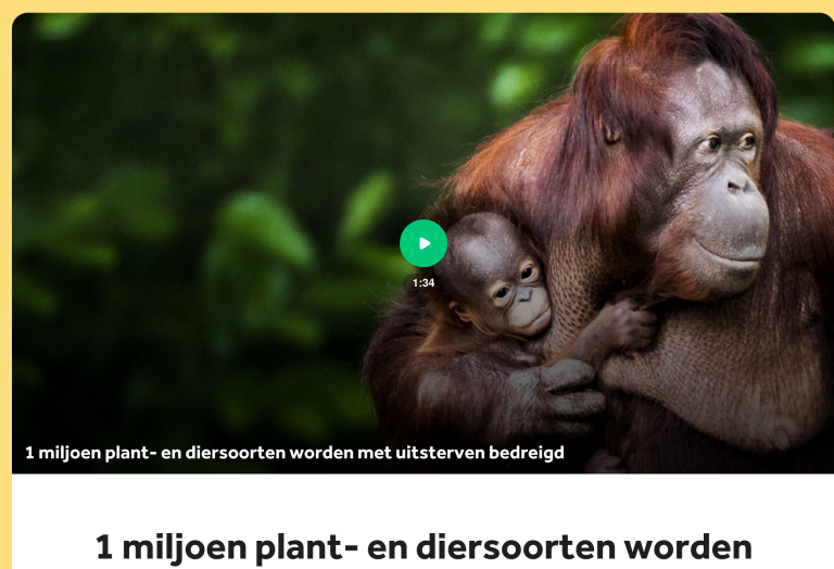 Orang-oetan moeder met jong, dreiging van uitsterven; tekst: 