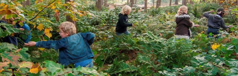 Kinderen spelen en rennen door een bos vol groene en gele bladeren.