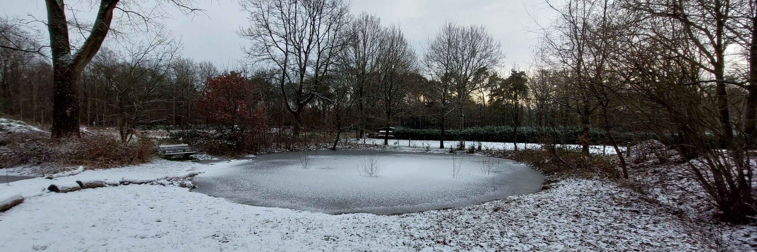 sneeuw vlindertuin waalre 24-01-2024 kop 3op1