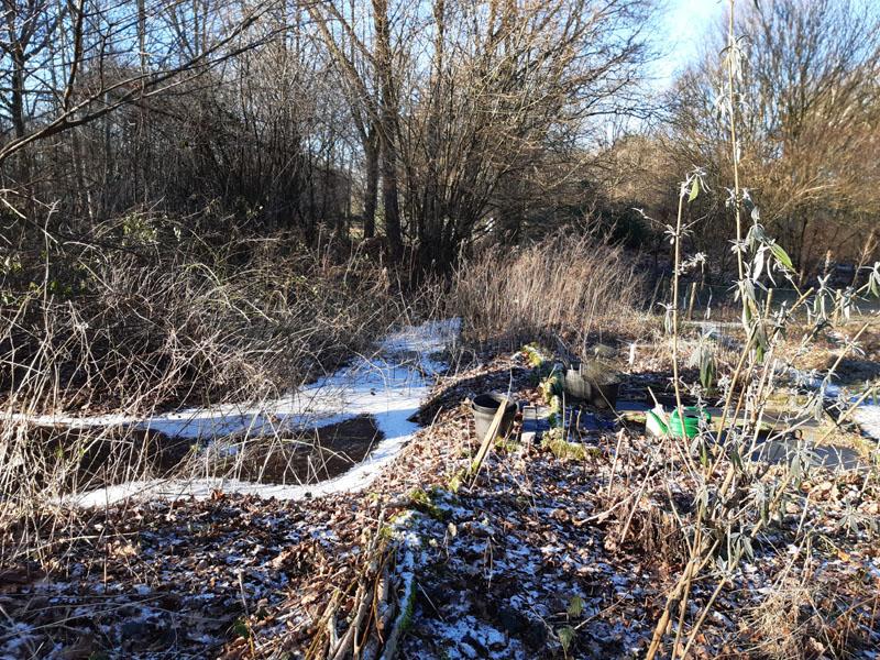 bevroren vlindertuin 2401091