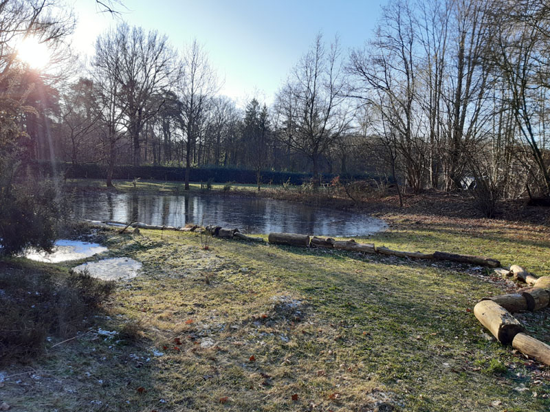 bevroren vlindertuin 2401092