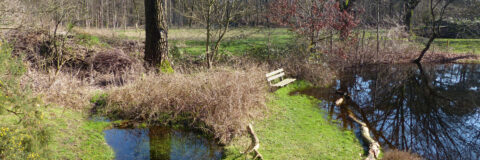 waterwonderland in vlindertuin waalre 240227 kop 3op1