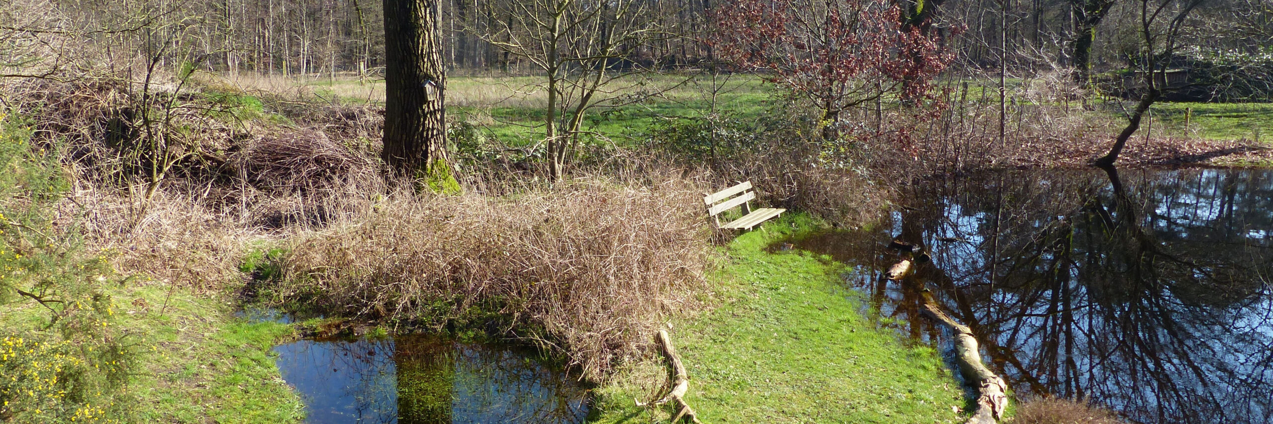 waterwonderland in vlindertuin waalre 240227 kop 3op1