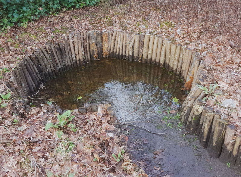 water in zitkuil vlindertuin 240213