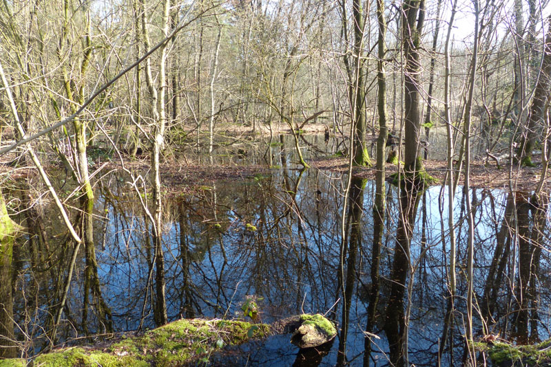 waterwonderland vlindertuin waalre 240227 4op3