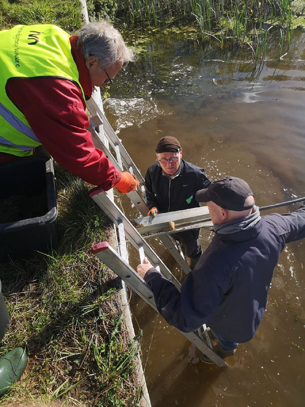 werk aan oeverzwaluwwand dommelen 240410 3op4