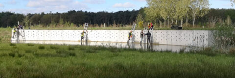 oeverzwaluwwand dommelen 240410 kop 3op1