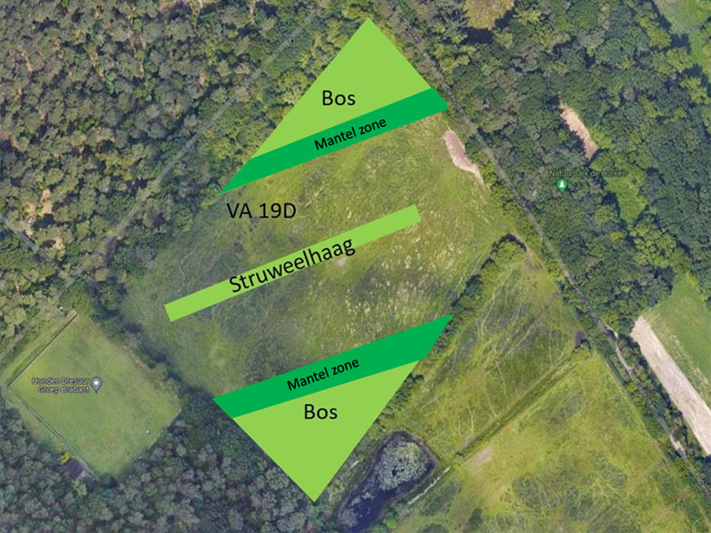 beplantingsplan achtereind maart 2024