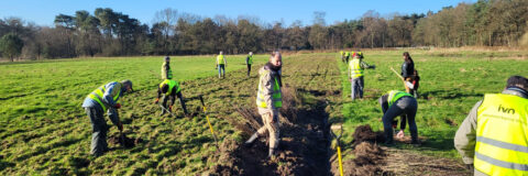 bomen planten achtereind 240401 kop 3op1