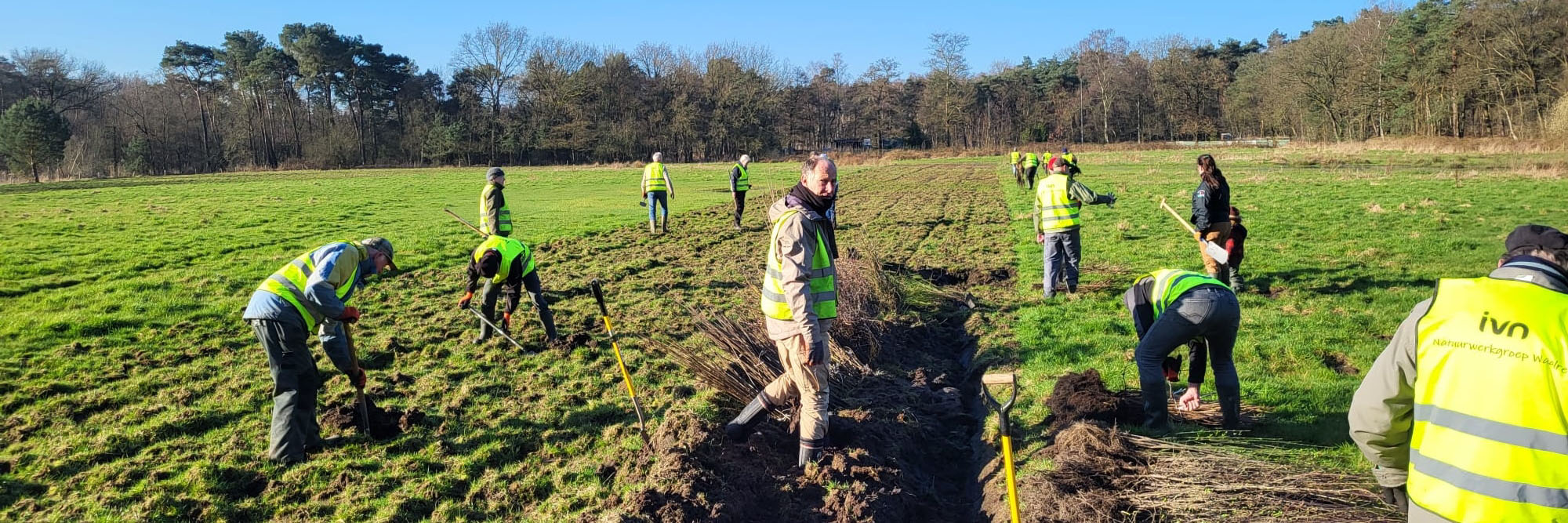 bomen planten achtereind 240401 kop 3op1