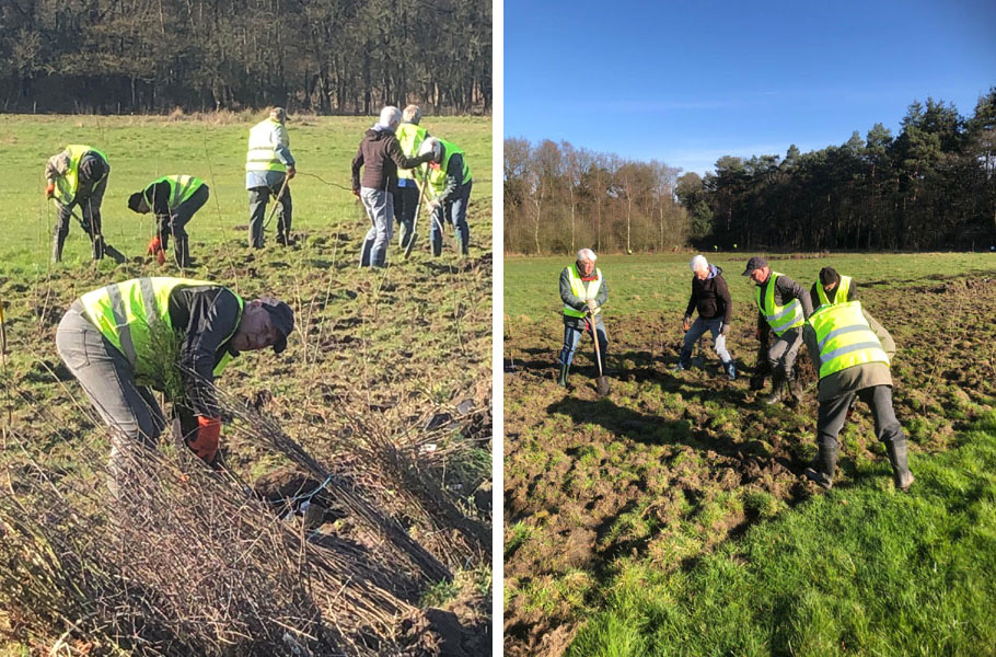 bomen planten achtereind 240401 collage