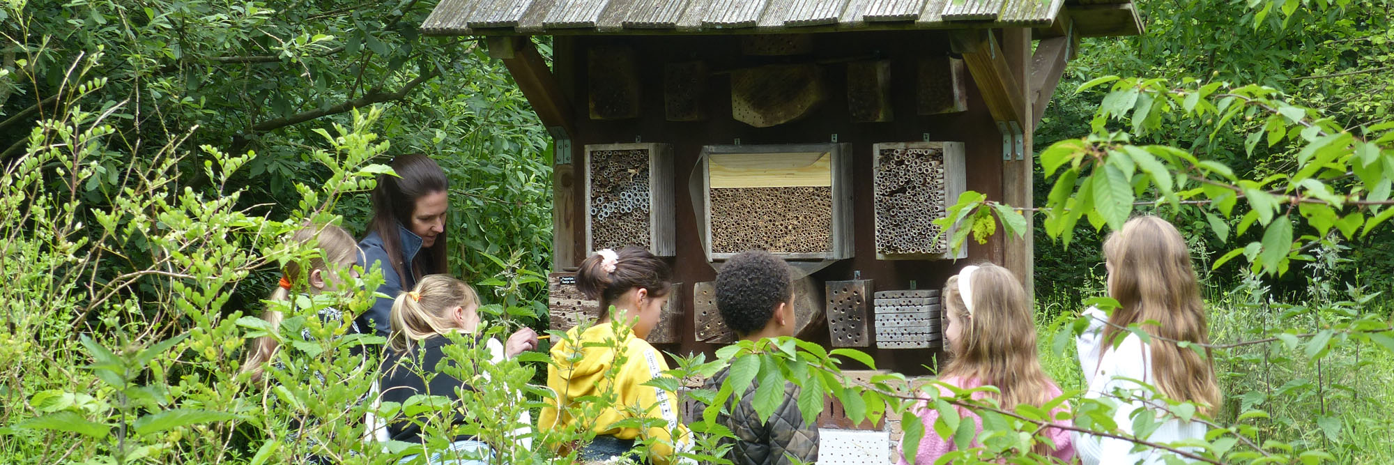 bezoek wilderen in vlindertuin waalre kop 3op1
