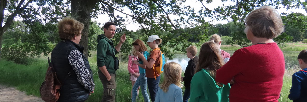 boomkikkerochtend 09-06-2024 kop 3op1