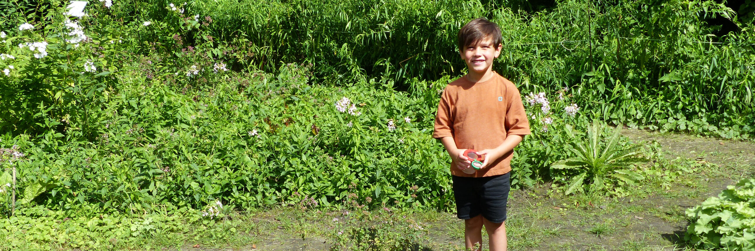 kindermiddag vlindertuin waalre 21-08-2024 kop 3op1