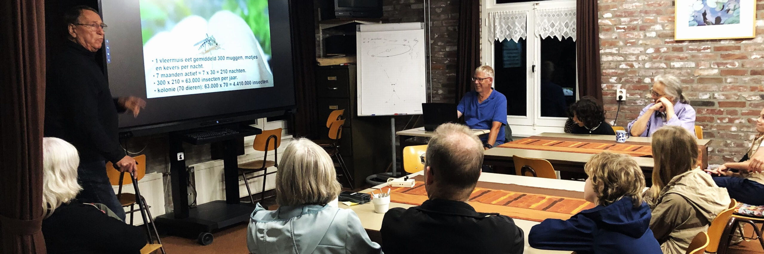 vleermuisavond 240830 kop 3op1