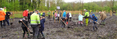 Boomfeestdag Valkenswaard kop 3op1