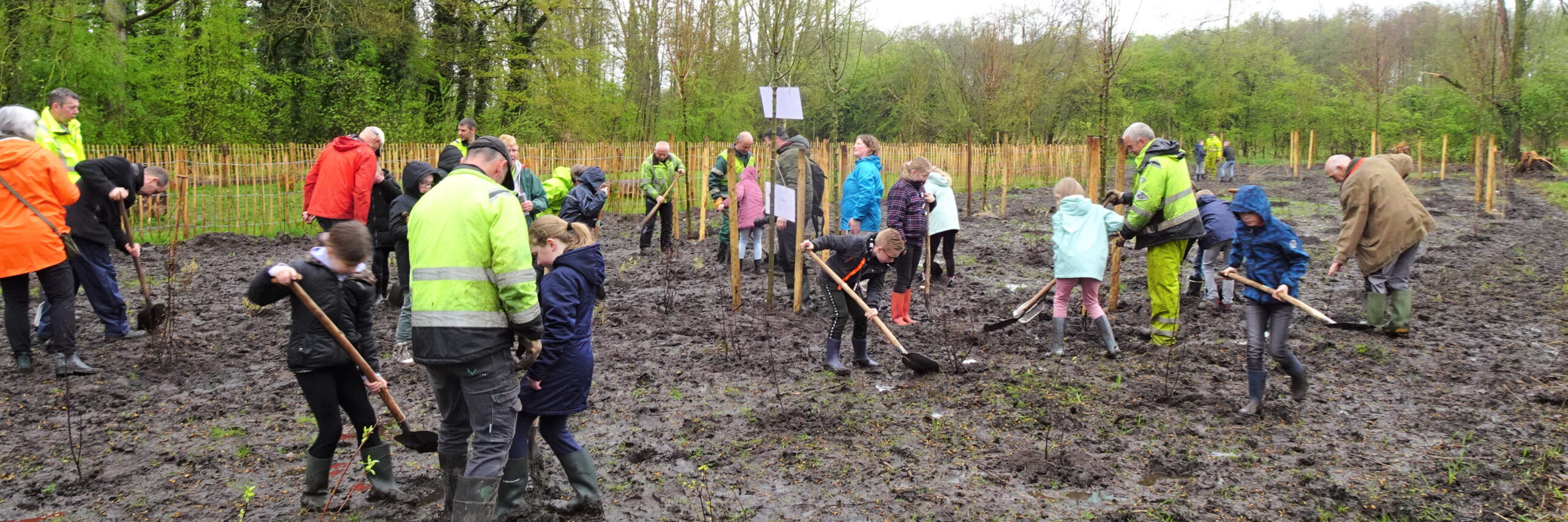 Boomfeestdag Valkenswaard kop 3op1