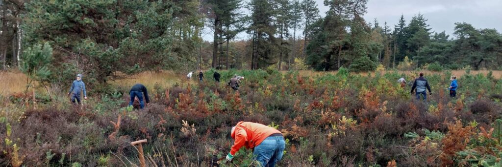 Natuurwerkdag Waalre 02-11-2024 kop 3op1