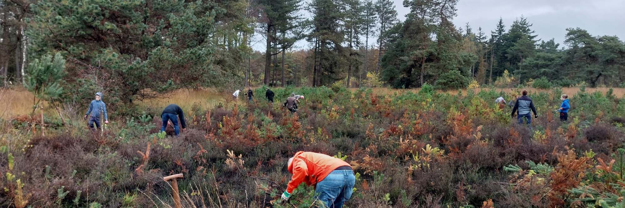 Natuurwerkdag Waalre 02-11-2024 kop 3op1
