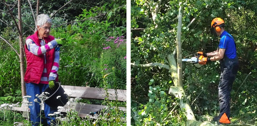 vrijwilligerspenning Waalre 2024