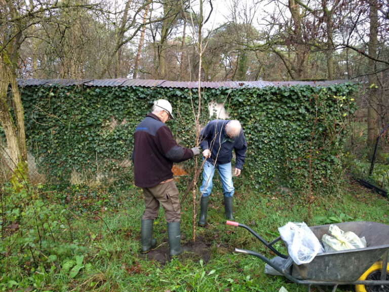 vlindertuin fruitbomen 241203