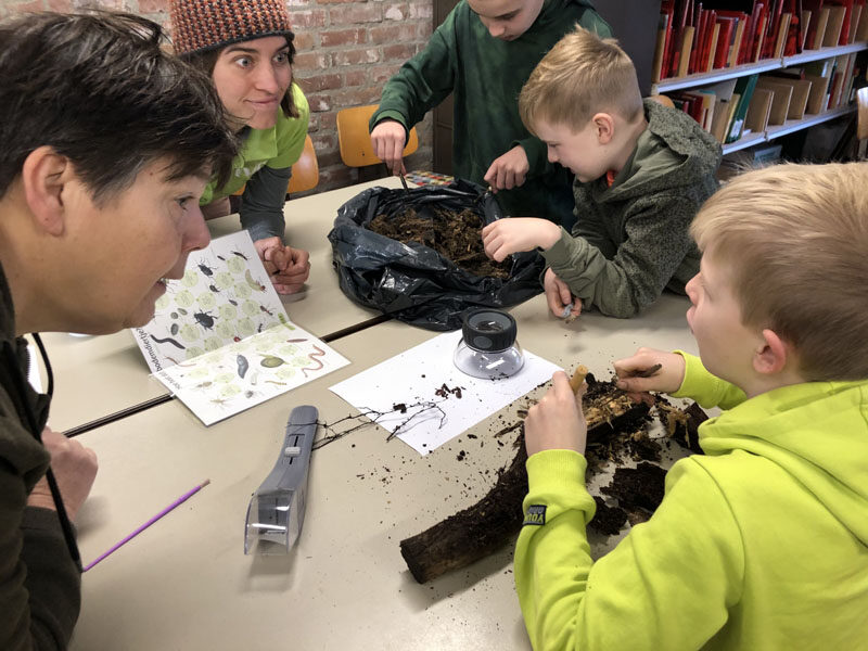 dood hout uitpluizen 241215