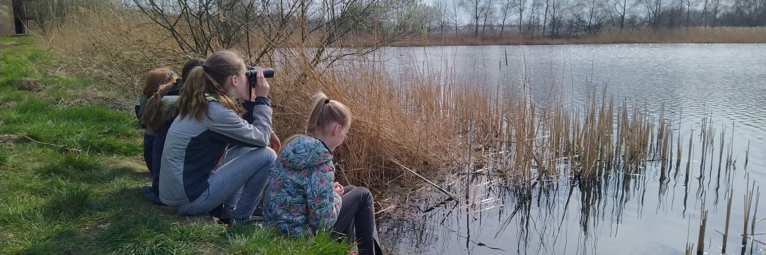 vogels kijken jeugd 2 kop 3op1
