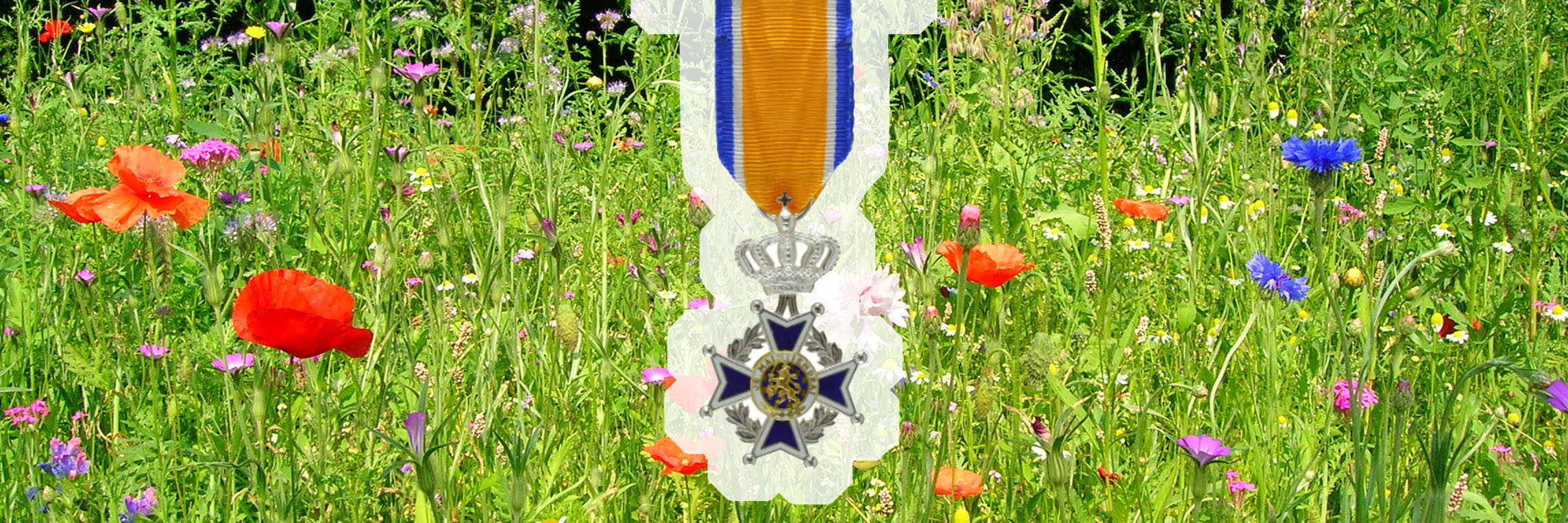 koninklijke onderscheiding kop 3op1