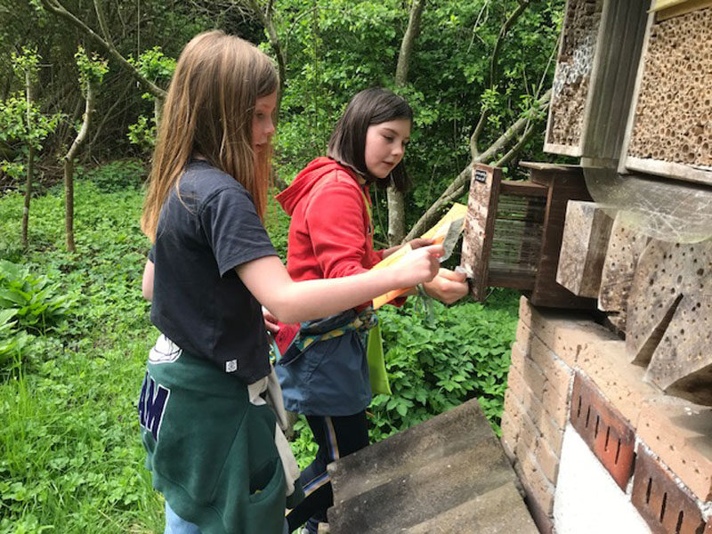 kindermiddag vlindertuin waalre 250423 bijenhotel