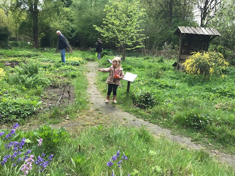 kindermiddag vlindertuin waalre 250423 siertuin
