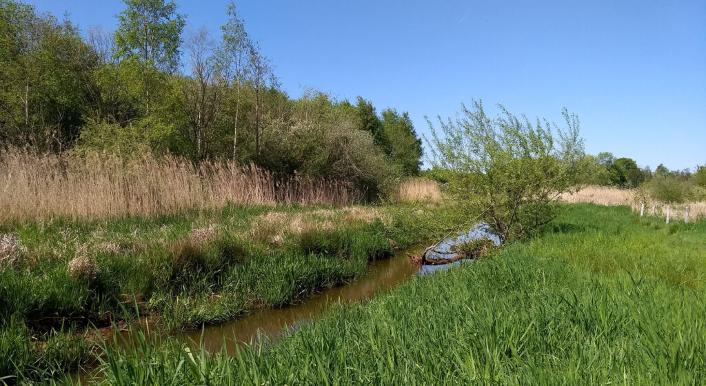 Keersopdal kop