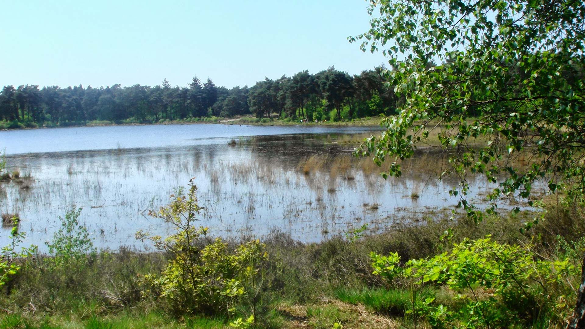 meeuwven qrcode wandeling kopfoto 3op1