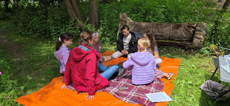 vlindertuin waalre kwartetten 250522