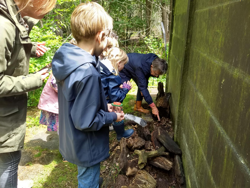 vlindertuin waalre diertjes zoeken 250527
