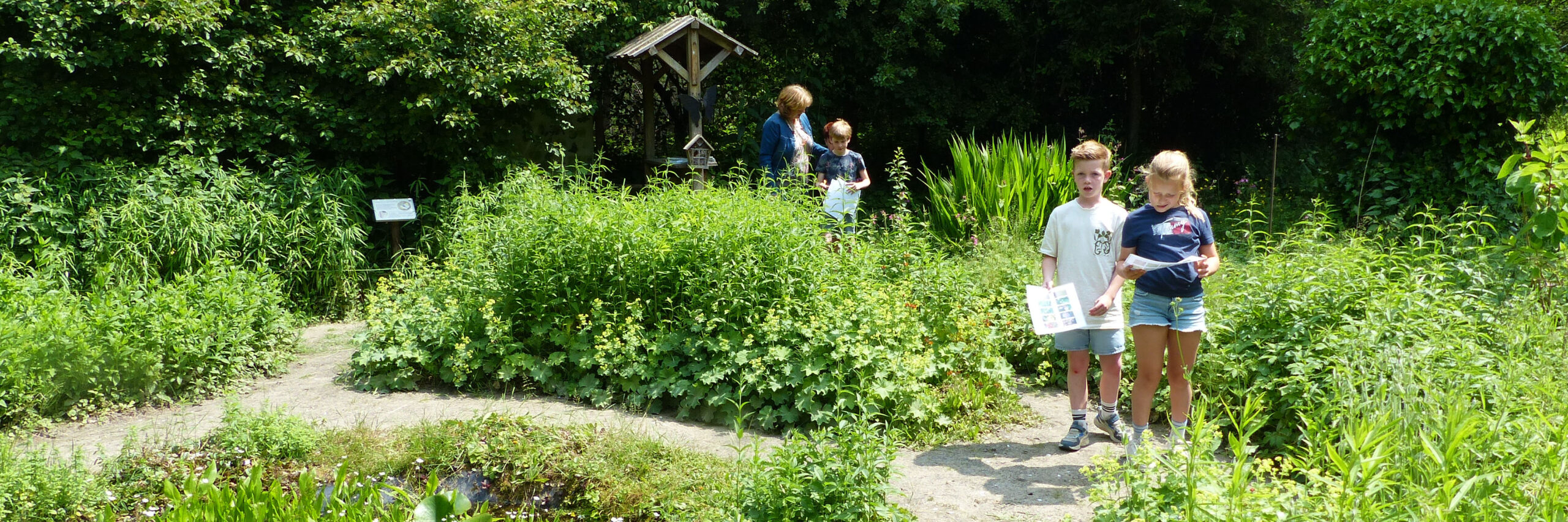 Vlindertuin bezoek groep 5 De Wilderen, 250603