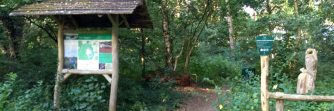 parkeerplaats malpie kop 3op1