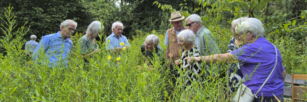 excursie vlindertuin waalre 250806 kop 3op1